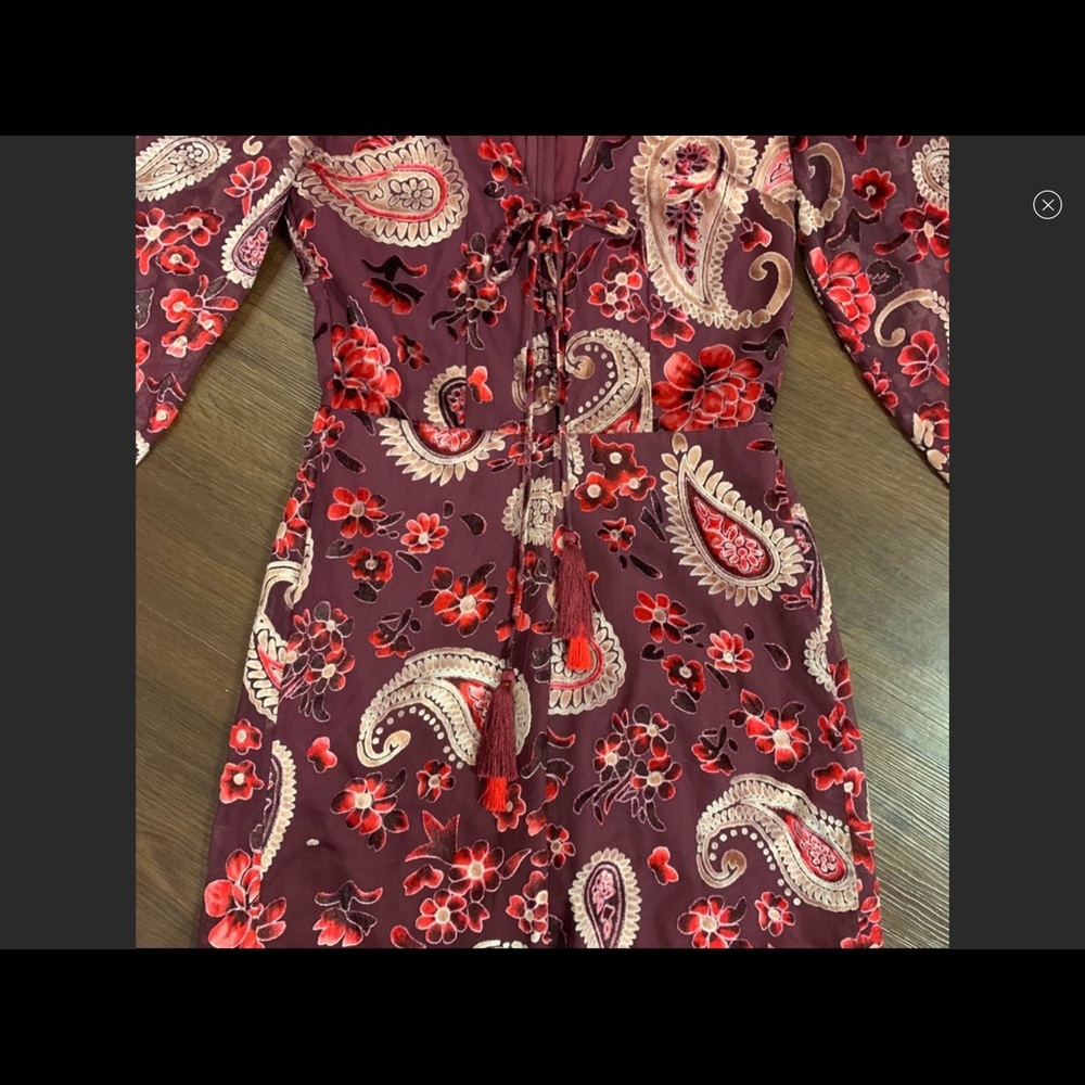 Chelsea & Violet Burnout Velvet Jumpsuit - Picture 4 of 6
